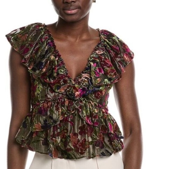 Parker Cara Velvet  Ruffle V-Neck Blouse - Picture 1 of 11